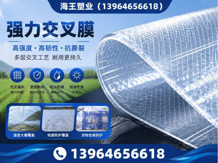 潍坊滨海经济技术开发区聚酯胎展示图